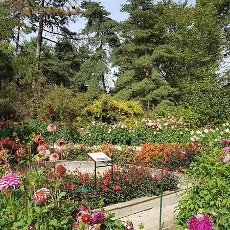 Apartment Ideally Located Near The Bois De Vincennes Paris
