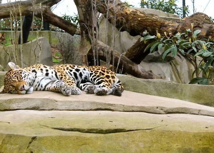 公寓 Ideally Located Near The Bois De Vincennes 巴黎