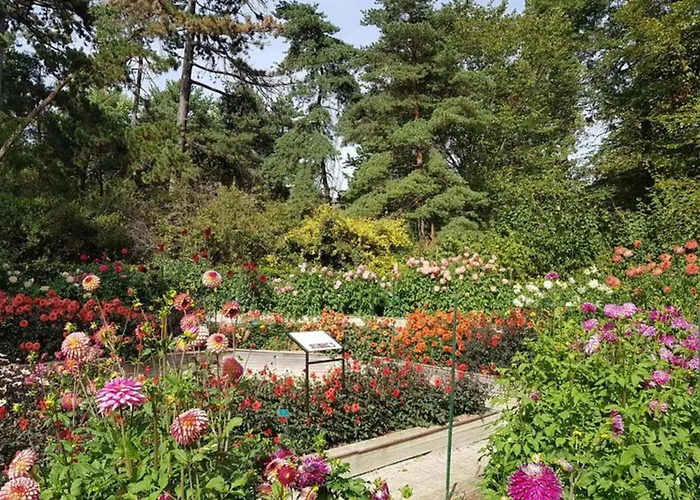 公寓 Ideally Located Near The Bois De Vincennes 巴黎